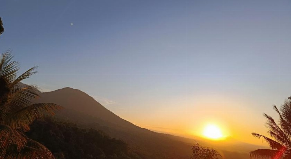 D'Wan Tea Mountain Side Main image